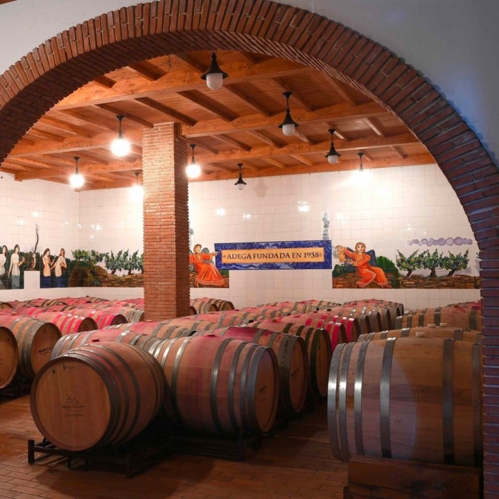 Discover the winery