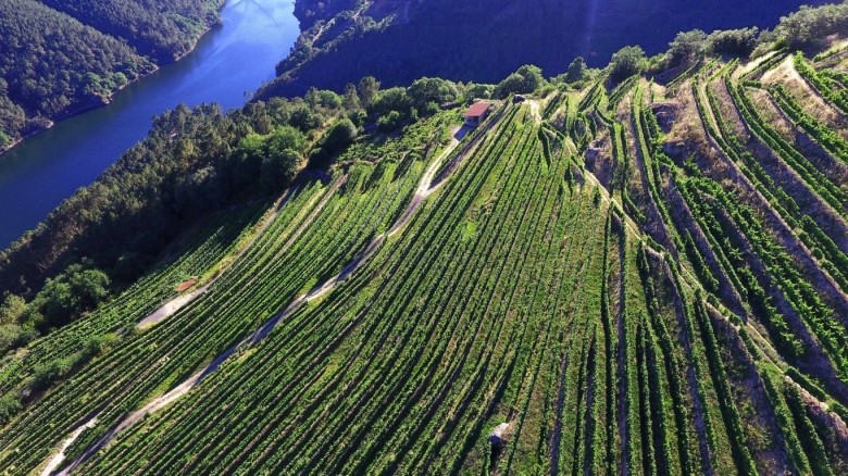 Una historia de agua y vino